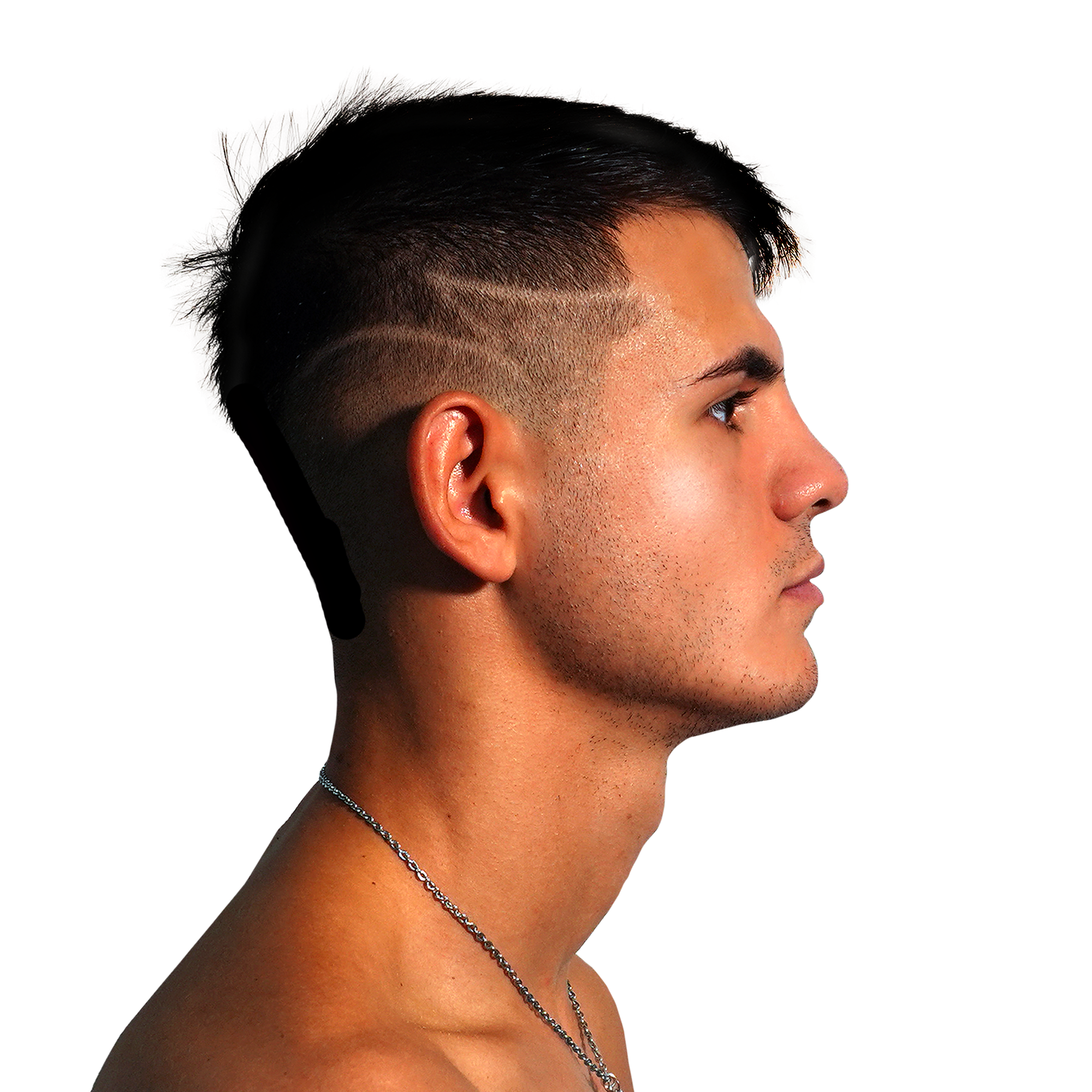 paparo.png